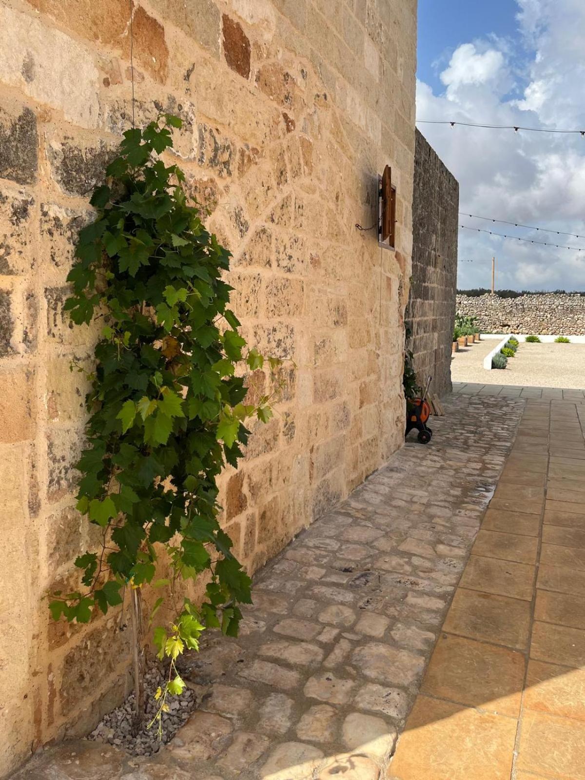 Masseria Voluzzi Copertino Exterior photo